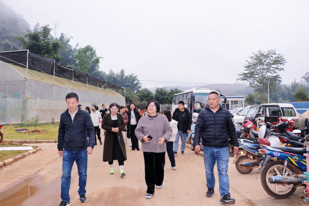 F:\2024.1.14-1.18-澜沧、孟连寒假社会调研\2024.1.14-1.18-澜沧、孟连寒假社会调研-修图\2024.1.18-牛油果基地、边境幸福村允软\IMG_8046(20240118-212537).JPG