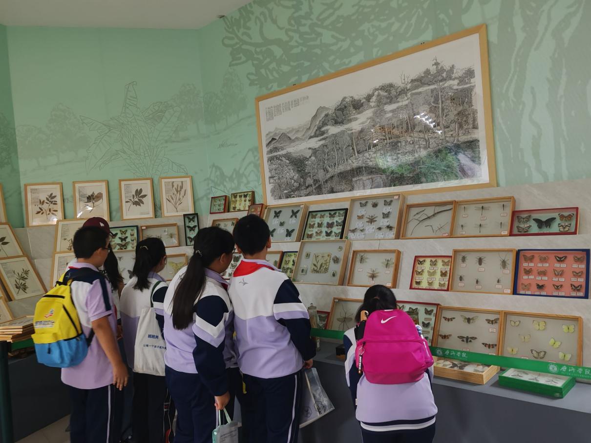 Image_20780013316499