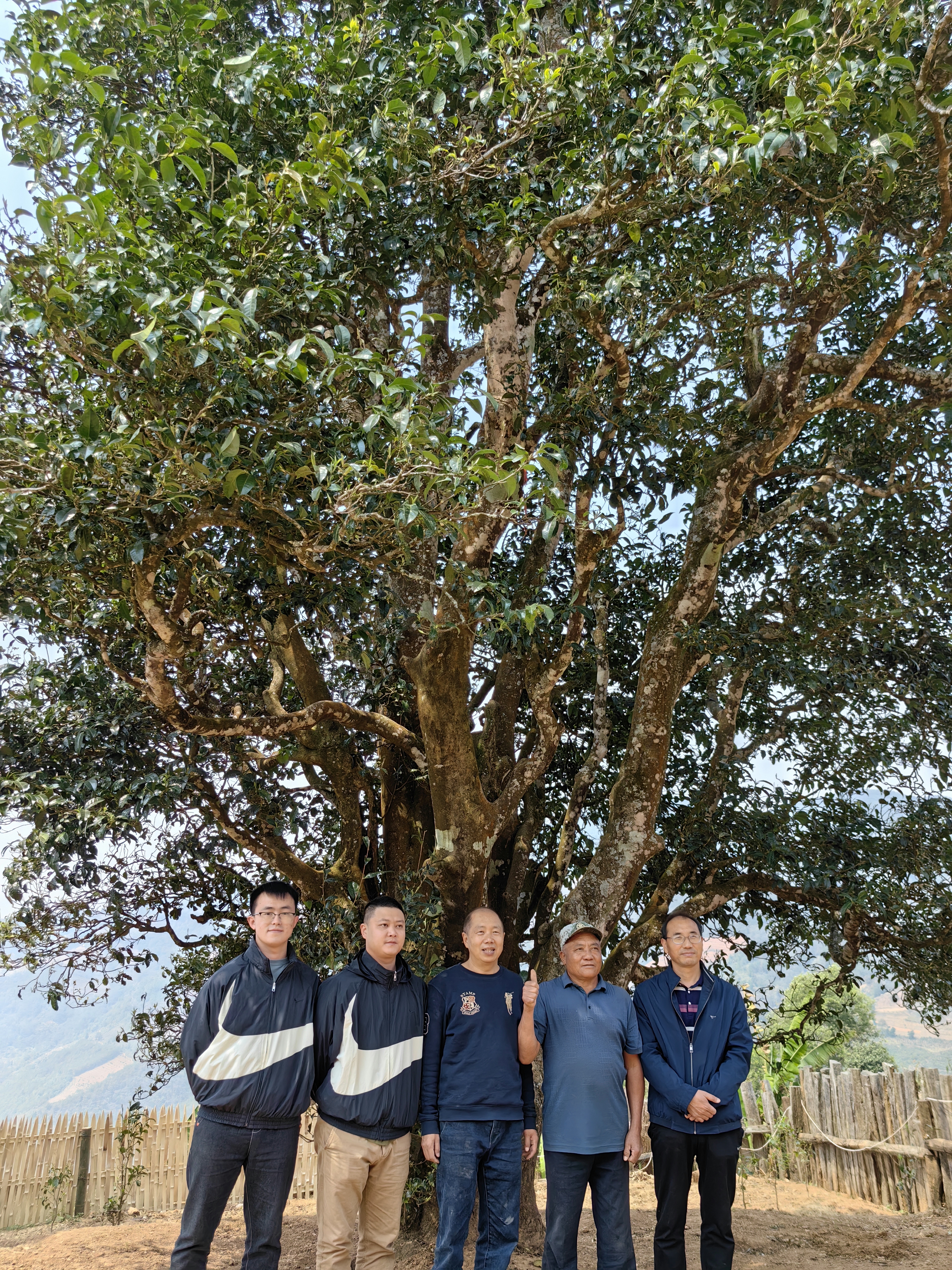 0fc0b14566f790c124148100ff1c5e5