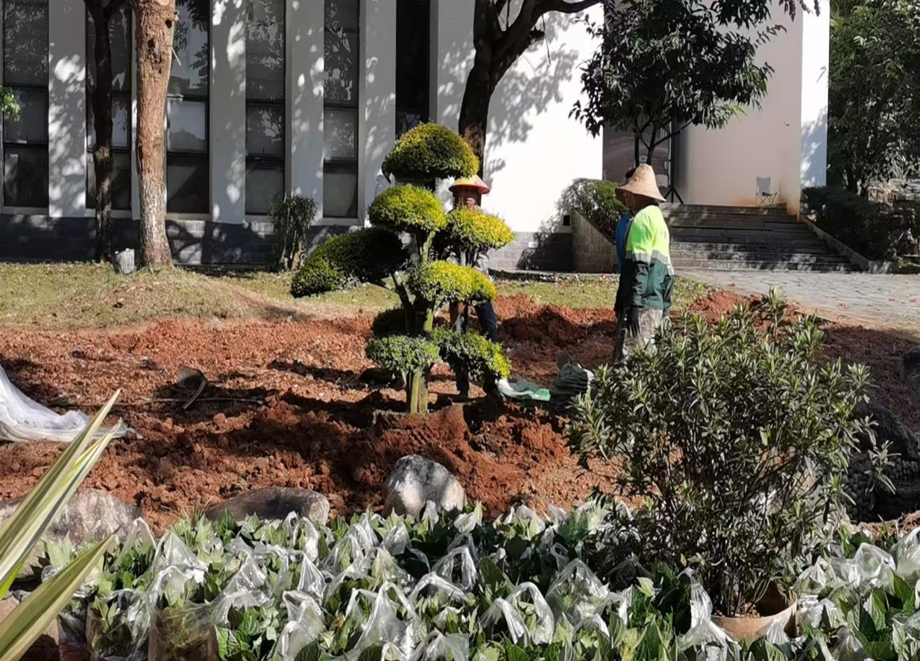 绿化景点提升11.27.