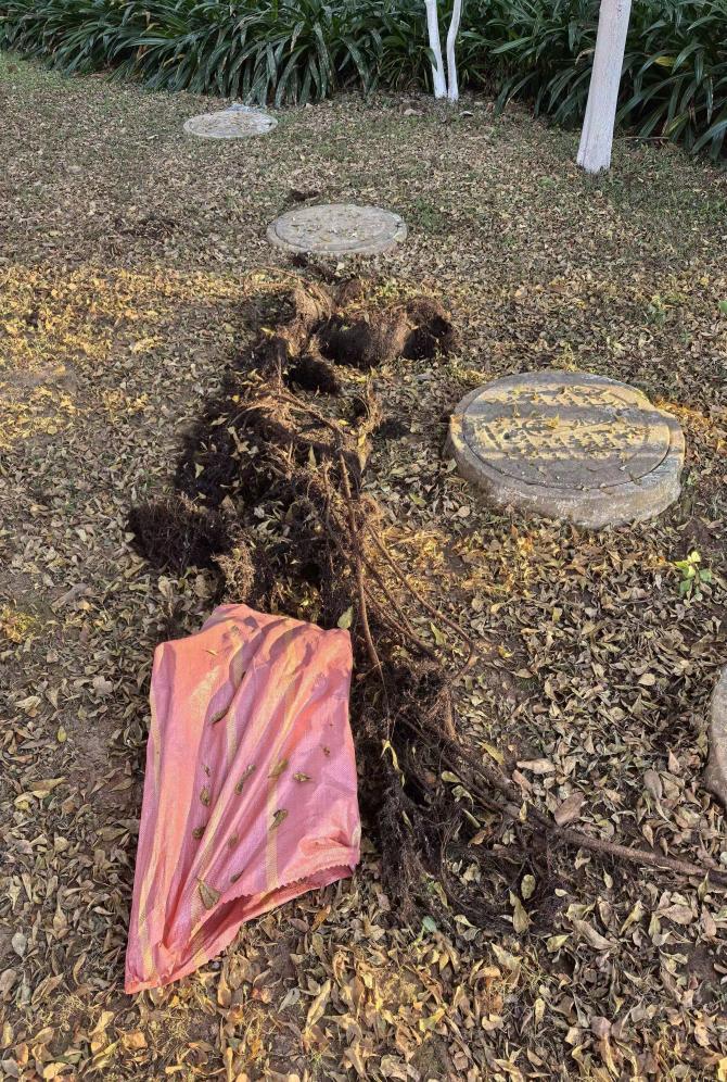 69fd16f22b744405310389bd158c25bf