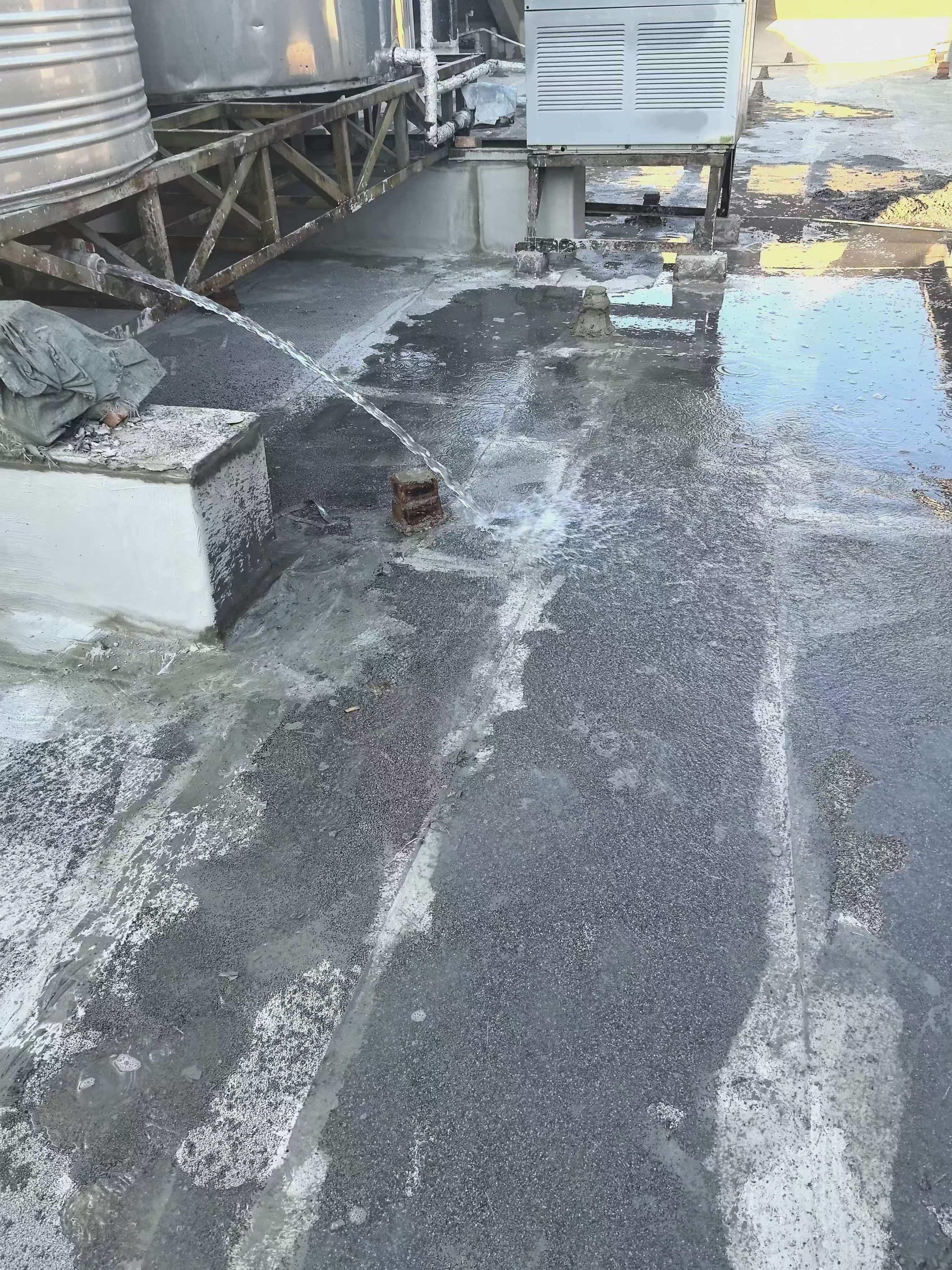 51f5f9e453cd3f82ba11372114ea8114