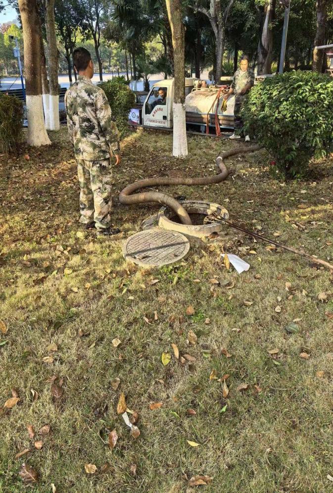 54f1788f83d4ef8fe9506ab116e19bf0