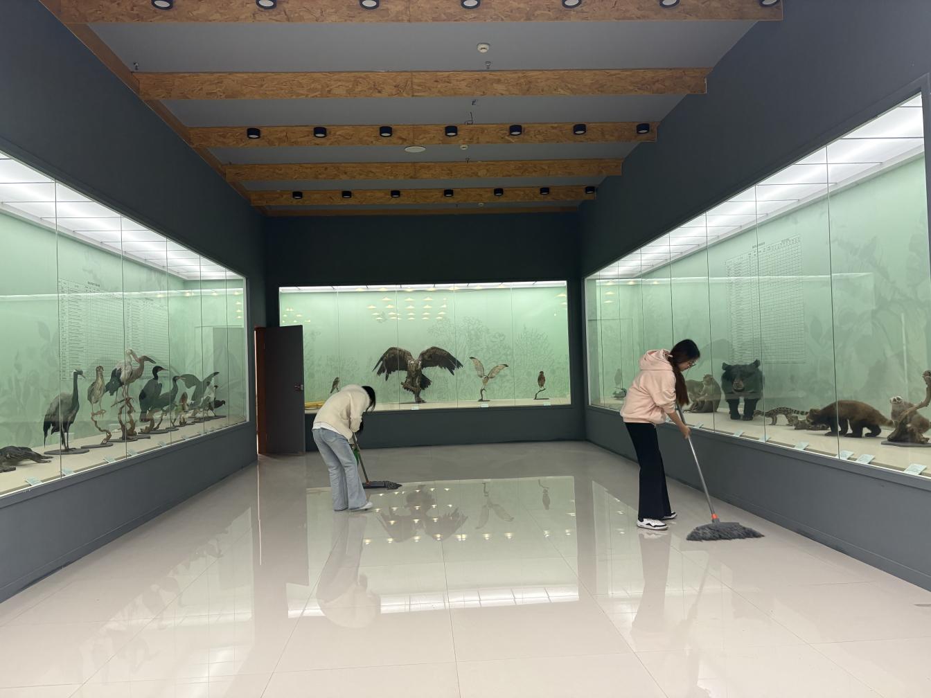 129AF0EAE778C10A627D169D6711C537