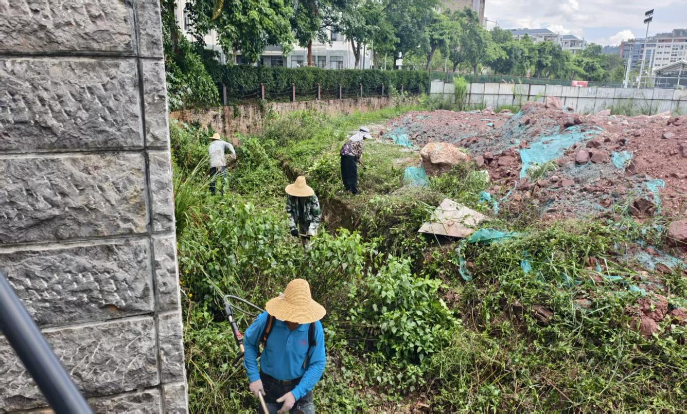 干渠清理5.9